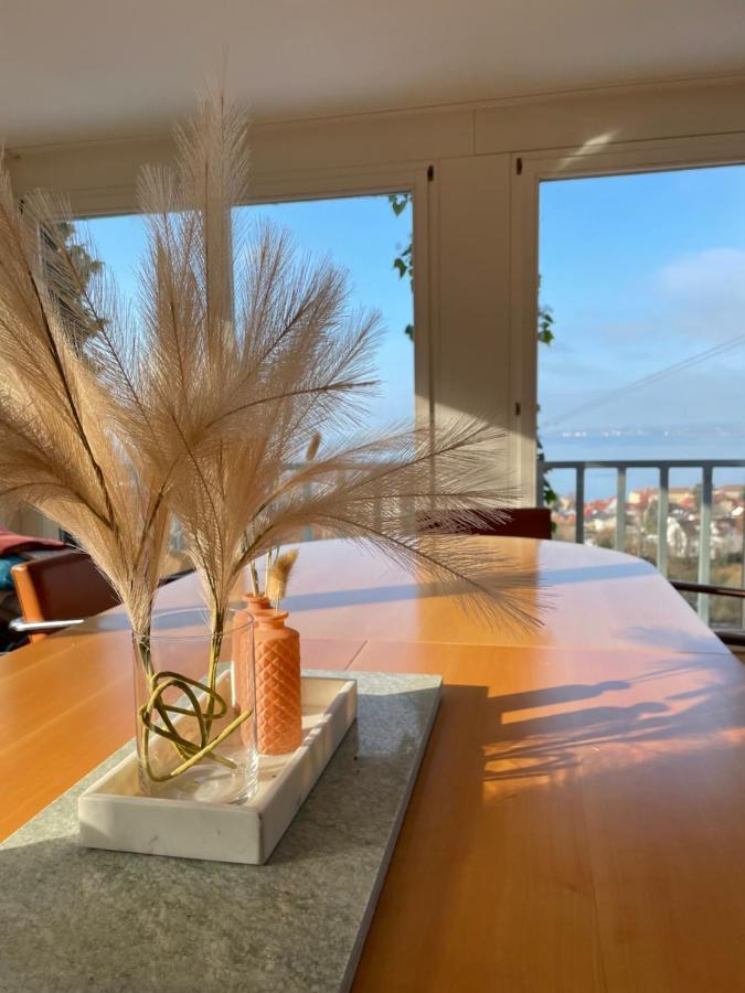 Villa Mit Traumhaftem Blick Uber Den Bodensee 브레겐츠 외부 사진